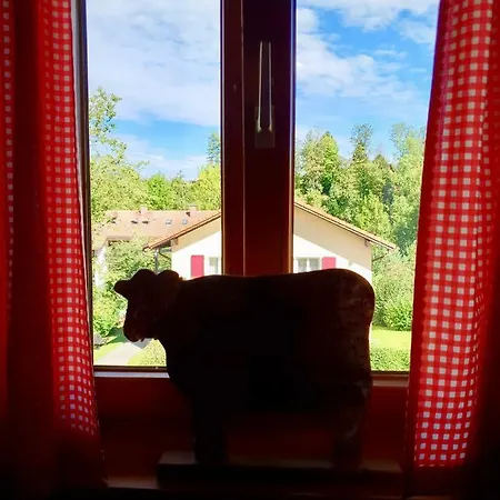 Zur Glücklichen Kuh Inn Oberstdorf